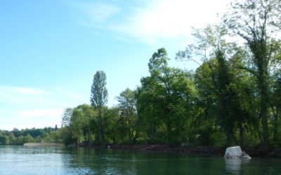 Le lac Léman et le Conservatoire du Littoral