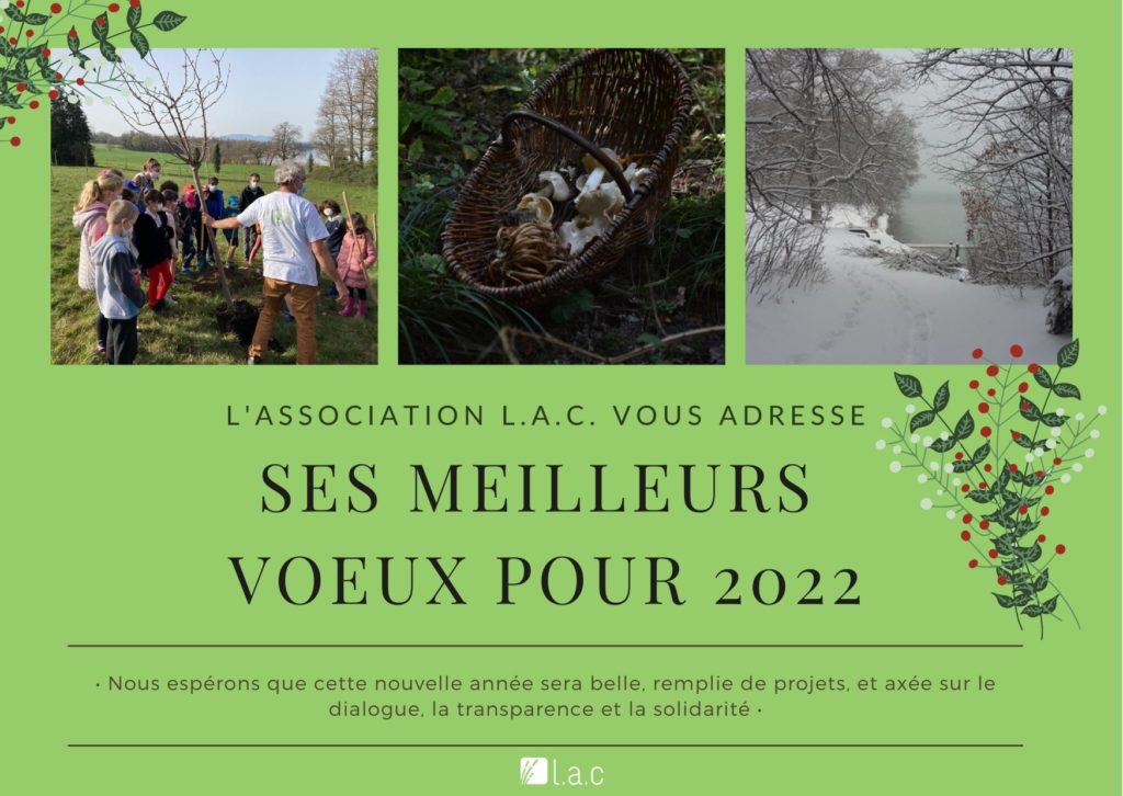 Foncé Bleu Et Beige Élégant Nouvel An Famille Carte De Vœux