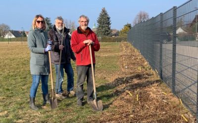 Plantation de la haie communale vers le stade