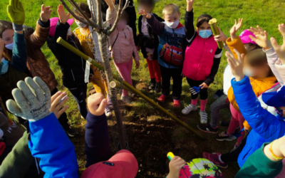 Les élèves de l’école au verger