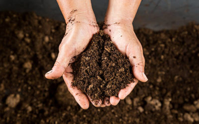 Faire son propre compost